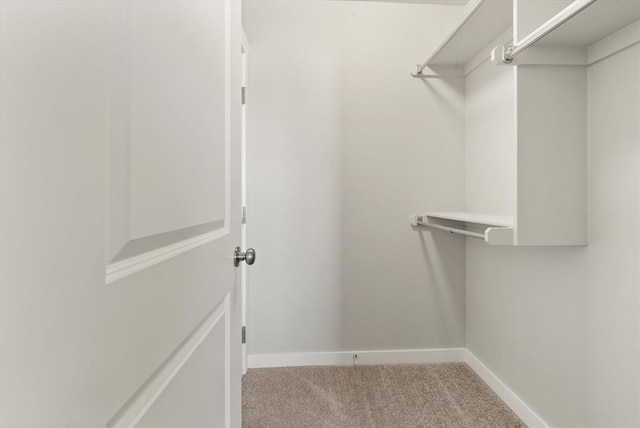 walk in closet featuring light colored carpet