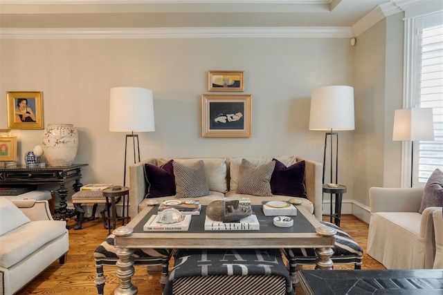 living room with ornamental molding and light hardwood / wood-style flooring