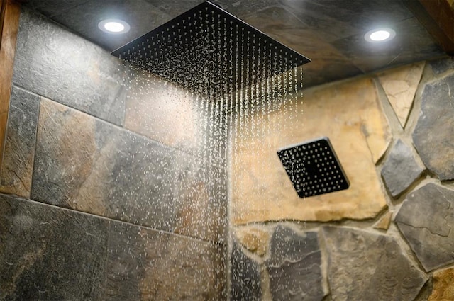 interior details with walk in shower