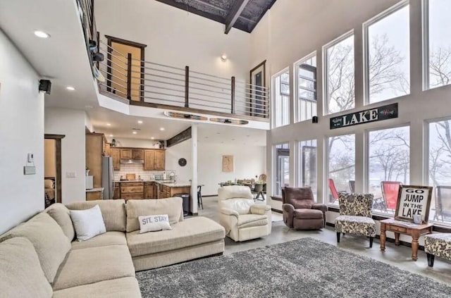 living room with a towering ceiling, concrete floors, and a healthy amount of sunlight