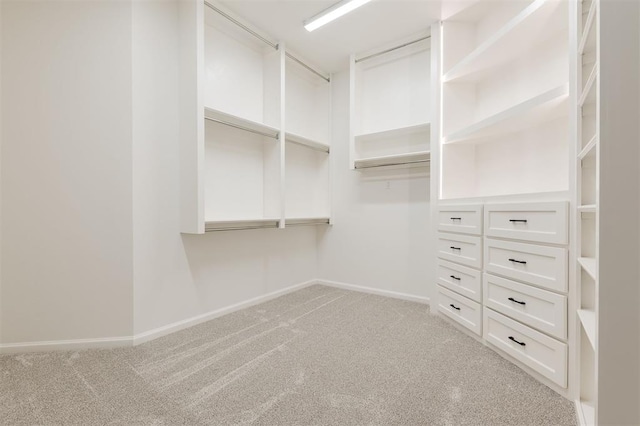 spacious closet featuring light carpet