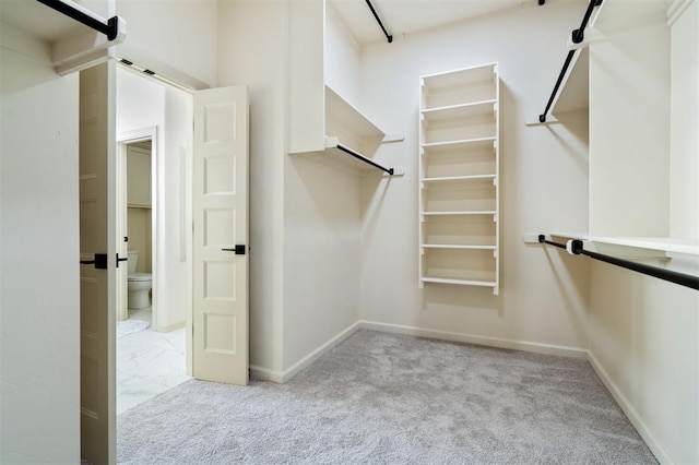 spacious closet with light carpet