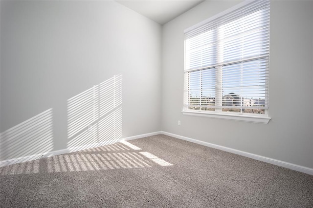 spare room with carpet floors