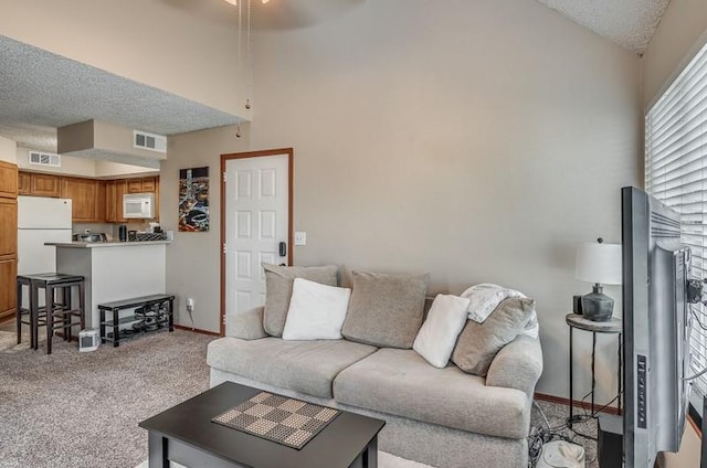 living room with a textured ceiling, light colored carpet, and lofted ceiling