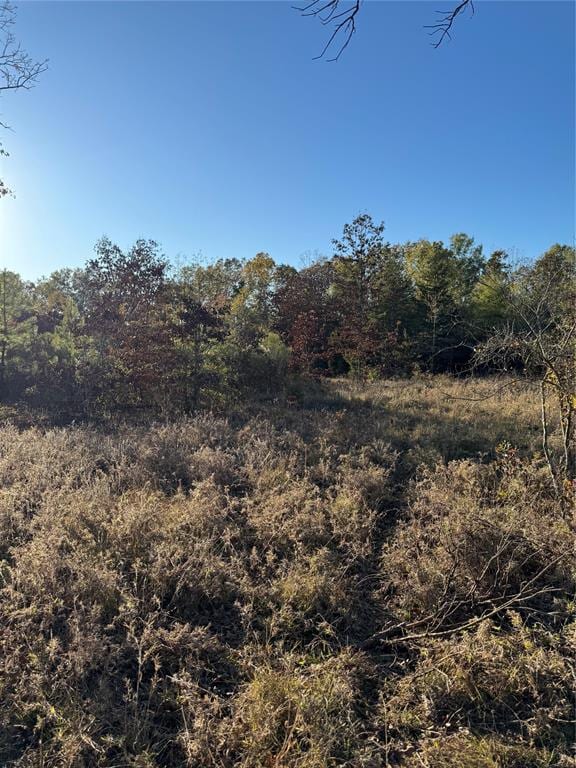 3647 Goodwater Rd, Haworth OK, 74740 land for sale