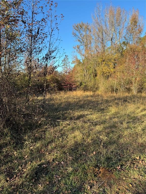 3647 Goodwater Rd, Haworth, OK 74740