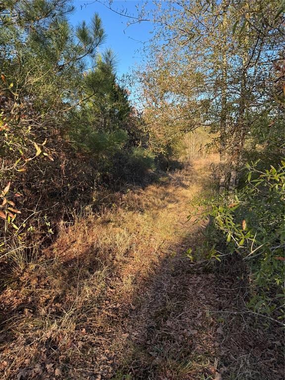 3647 Goodwater Rd, Haworth, OK 74740
