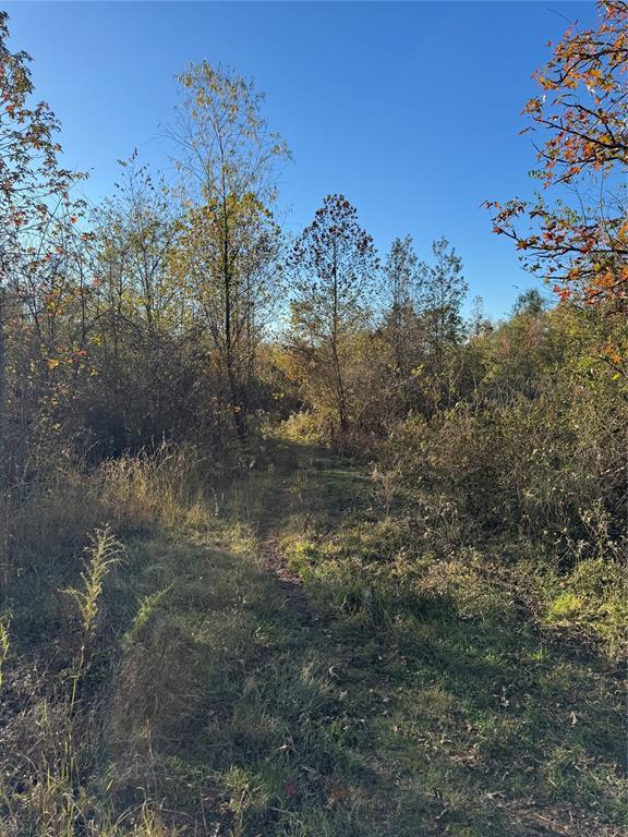 3647 Goodwater Rd, Haworth, OK 74740