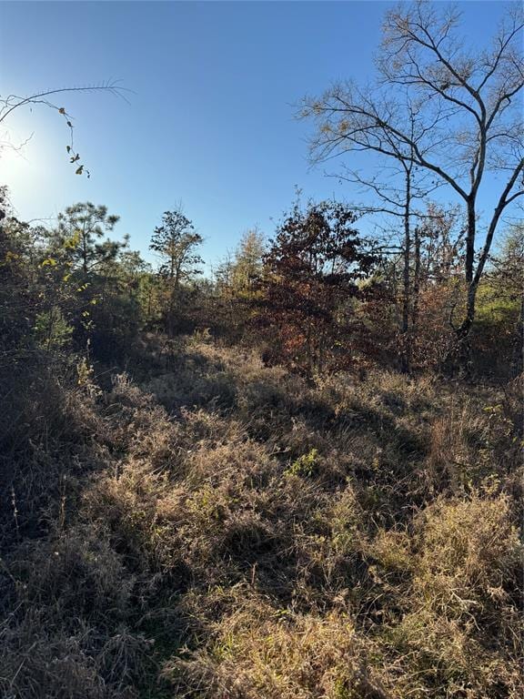 3647 Goodwater Rd, Haworth, OK 74740