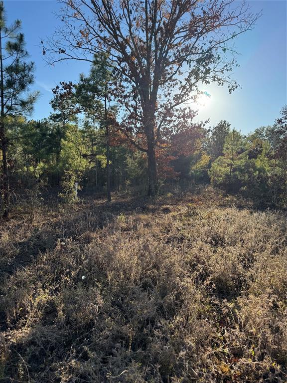 3647 Goodwater Rd, Haworth, OK 74740