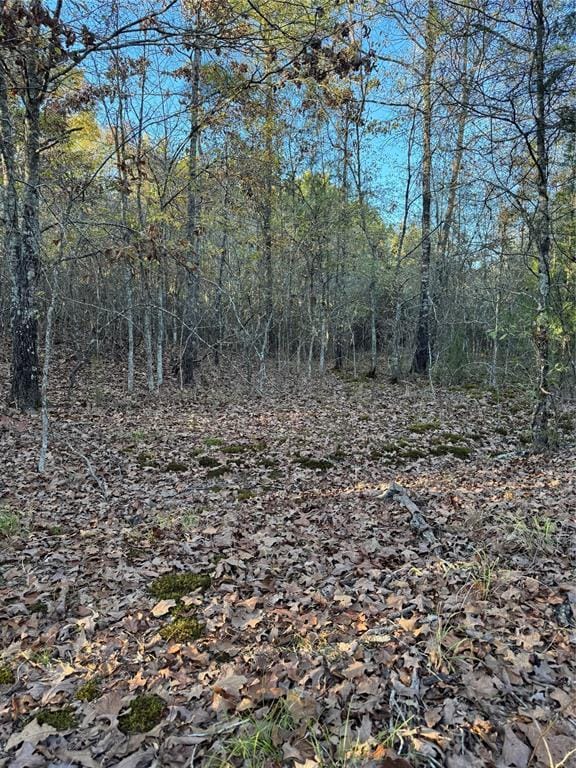 3647 Goodwater Rd, Haworth, OK 74740