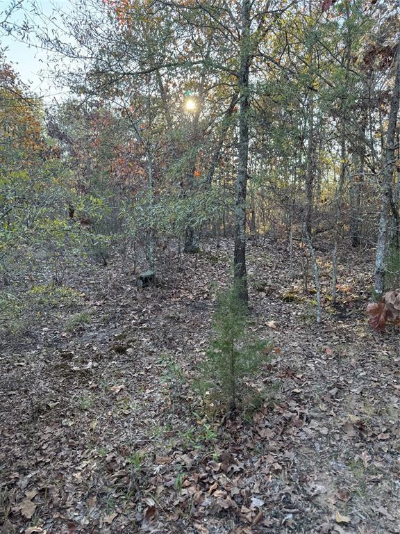 3647 Goodwater Rd, Haworth, OK 74740