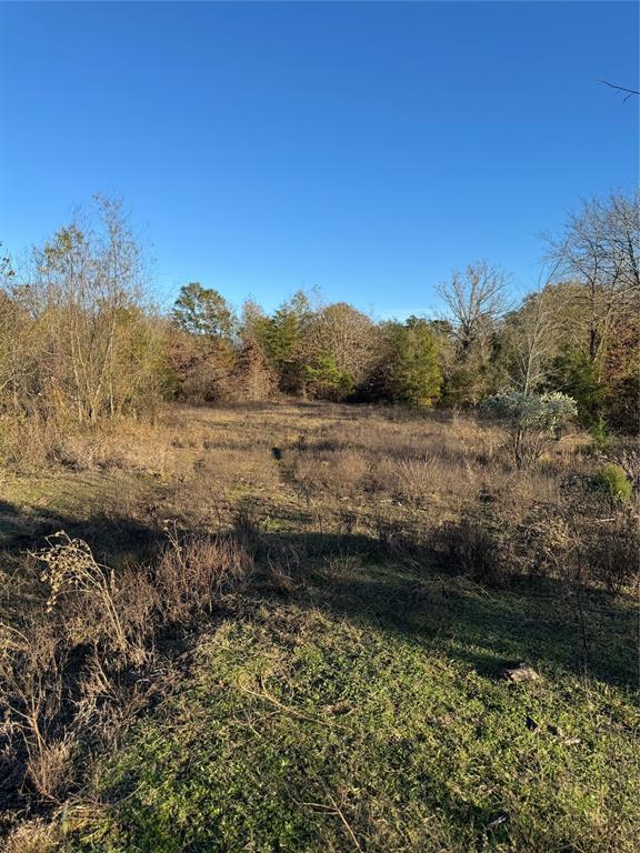 3647 Goodwater Rd, Haworth, OK 74740