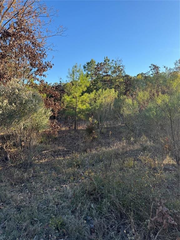 3647 Goodwater Rd, Haworth, OK 74740