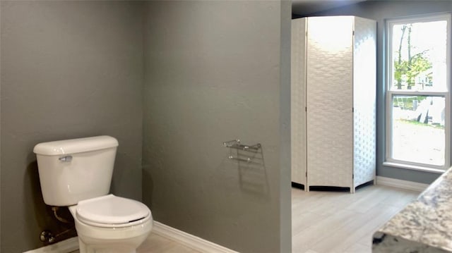 bathroom featuring wood-type flooring and toilet