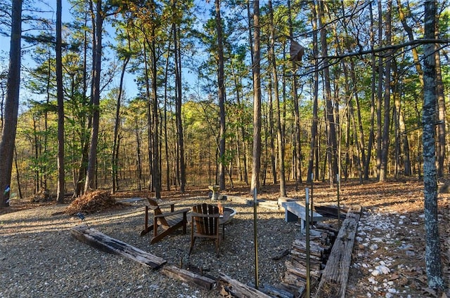 view of yard featuring a fire pit