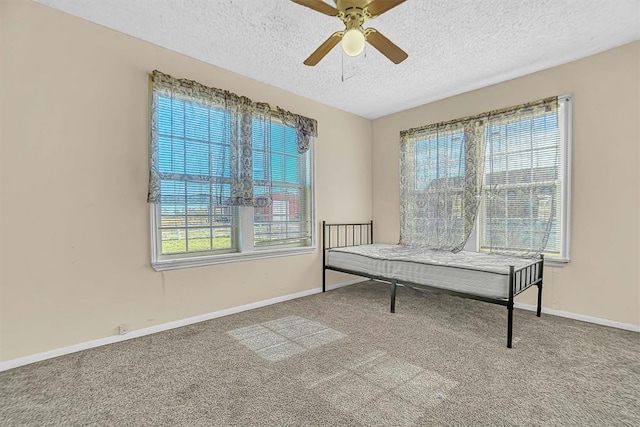 interior space with carpet flooring, ceiling fan, and a textured ceiling