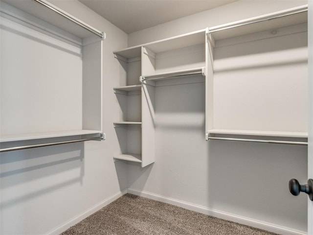 2213 Waterbrook Ct, Norman, OK 73026 - spacious closet with carpet flooring