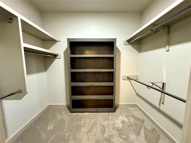 walk in closet with carpet