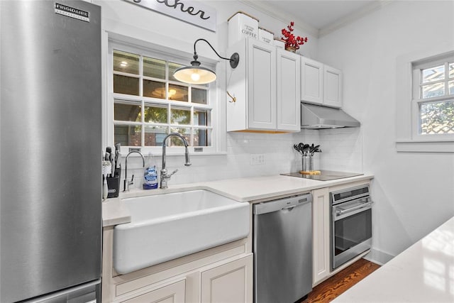 kitchen featuring a wealth of natural light, sink, extractor fan, appliances with stainless steel finishes, and ornamental molding