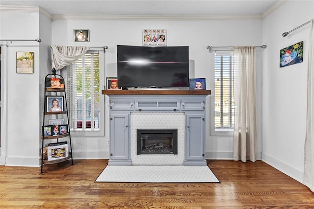 living room featuring hardwood / wood-style floors and plenty of natural light