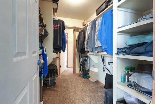 spacious closet with carpet