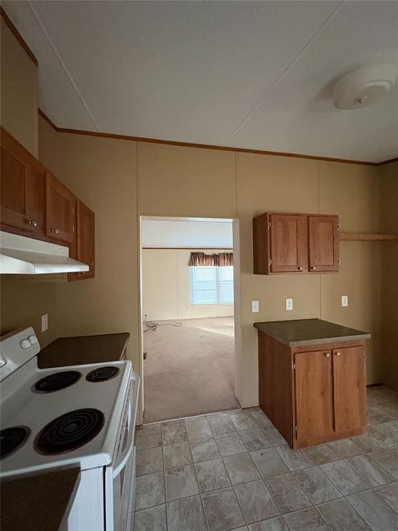 kitchen with white range with electric cooktop and light carpet