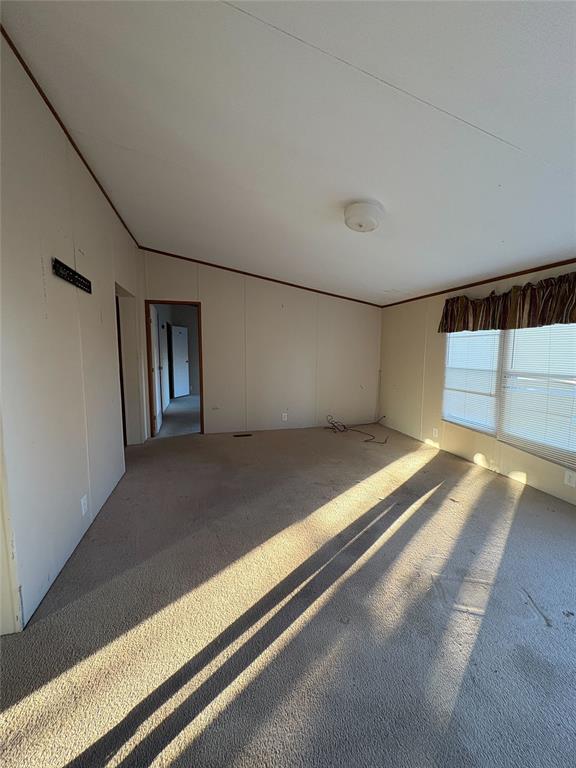 spare room with carpet flooring