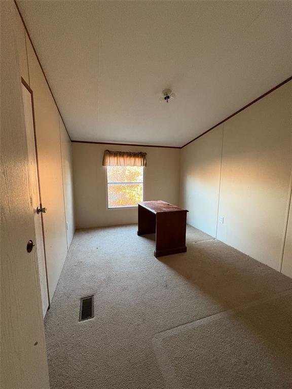 unfurnished bedroom with carpet