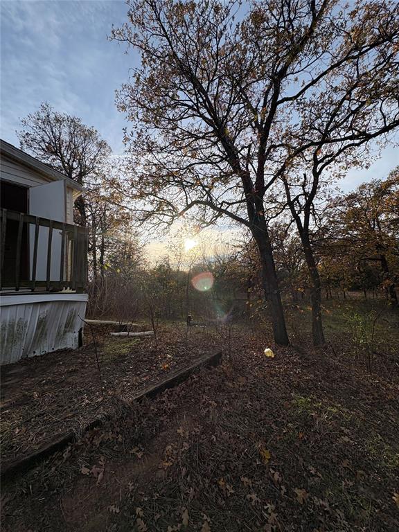 view of yard at dusk