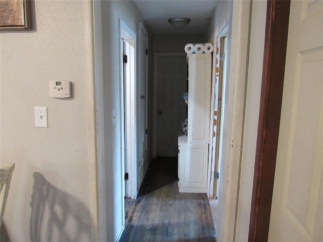 corridor featuring dark wood-type flooring