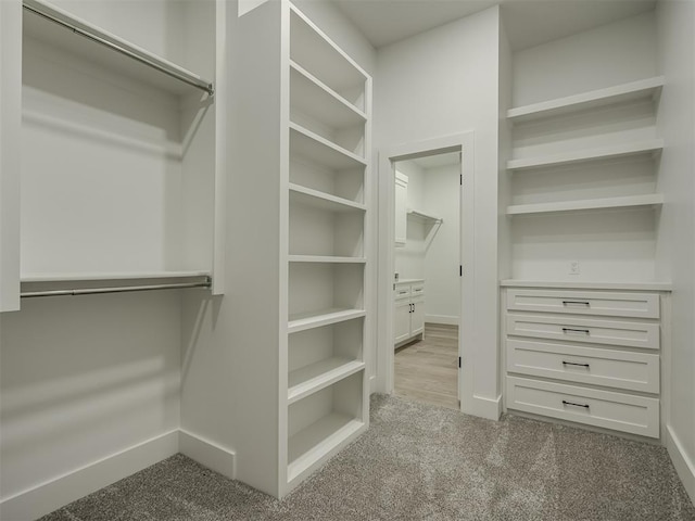 walk in closet featuring light colored carpet