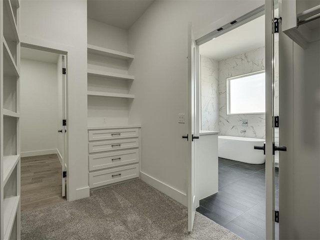 walk in closet with a barn door and dark colored carpet