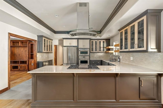 kitchen with kitchen peninsula, a raised ceiling, island exhaust hood, gray cabinets, and stainless steel appliances