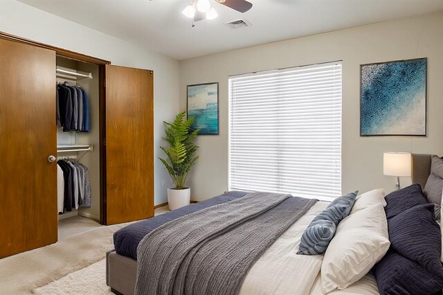 bedroom featuring visible vents, a ceiling fan, a walk in closet, carpet floors, and a closet