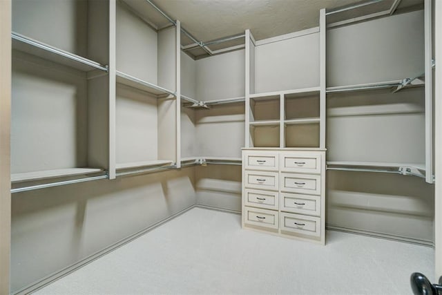 spacious closet featuring carpet floors