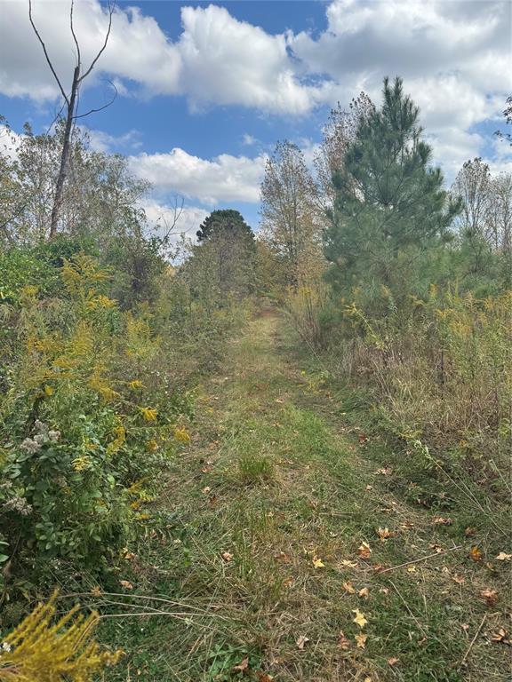 315 Rosebud Rd, Broken Bow, OK 74728 - photo 5