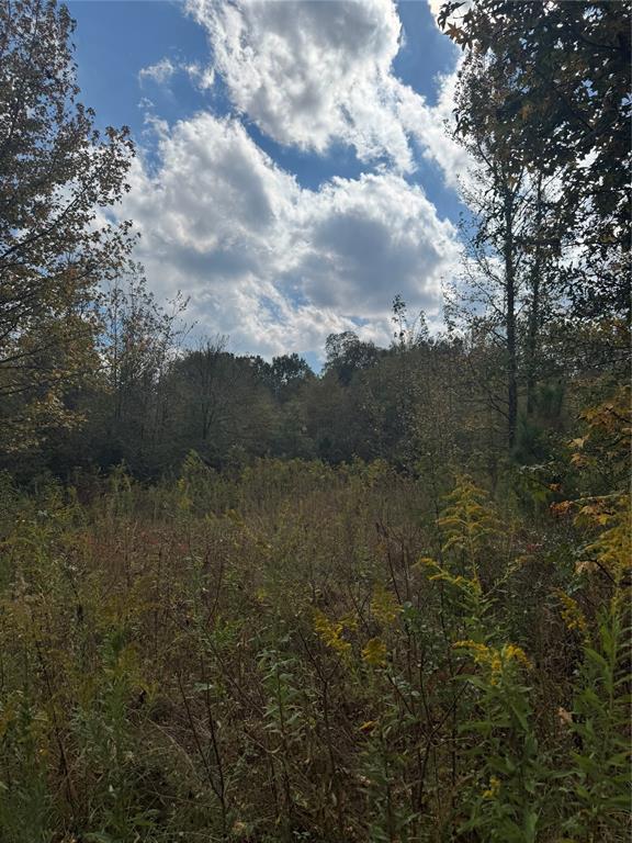 315 Rosebud Rd, Broken Bow, OK 74728 - photo 6