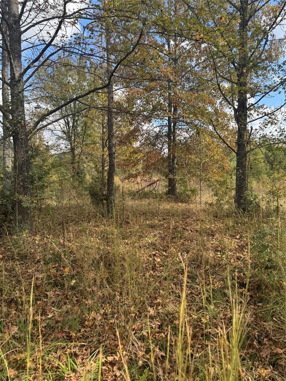 315 Rosebud Rd, Broken Bow, OK 74728 - photo 3