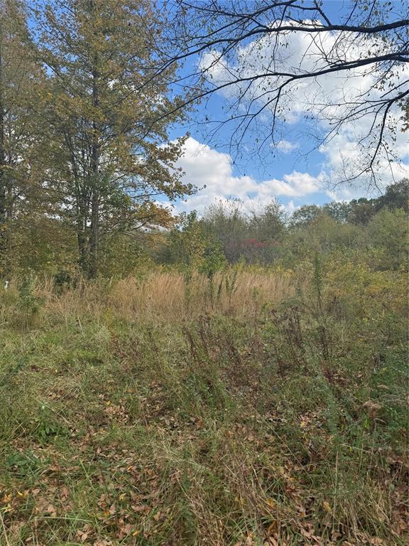 315 Rosebud Rd, Broken Bow, OK 74728 - photo 4