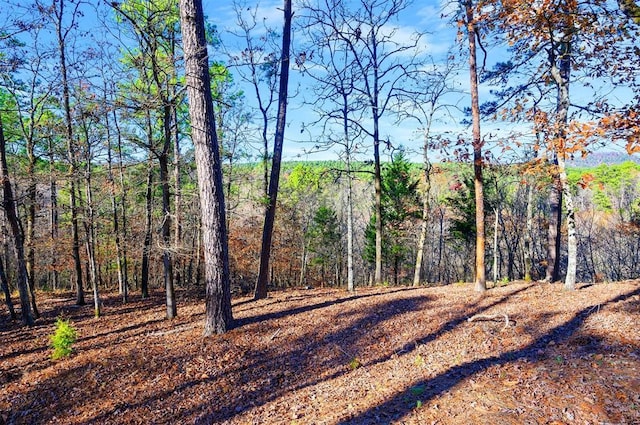 6837 Sherwood Rd, Broken Bow, OK 74728 - photo 22