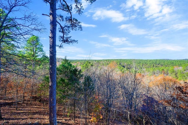 view of nature