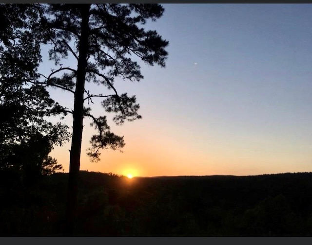 view of nature at dusk