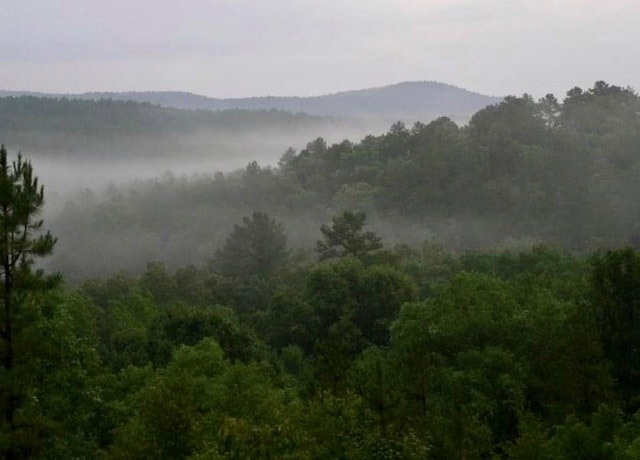 view of mountain feature