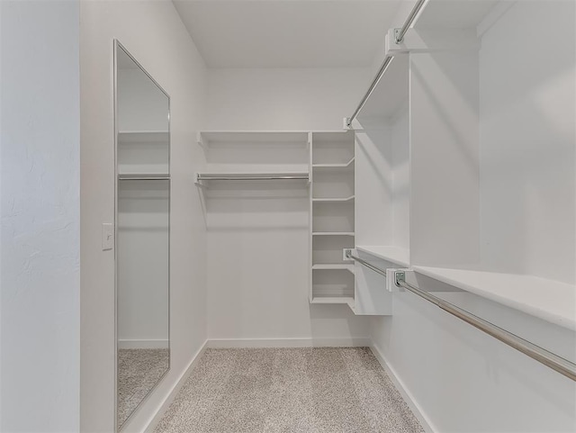 spacious closet with light carpet