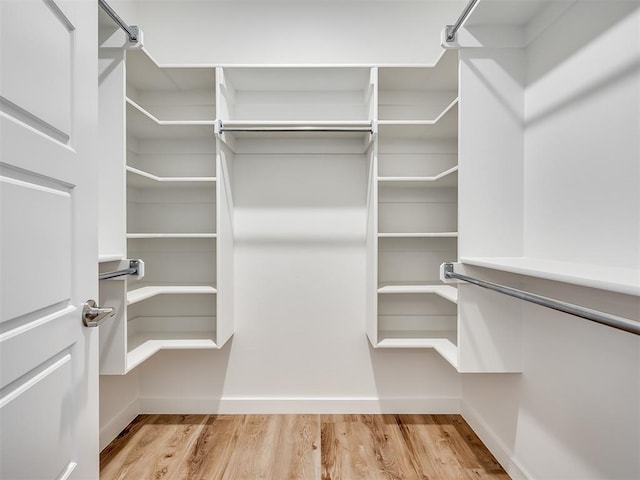 walk in closet with light wood-type flooring