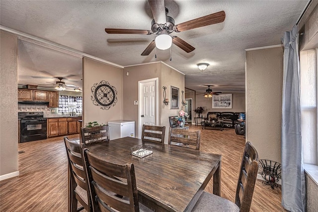 dining space featuring light hardwood / wood-style floors and a textured ceiling