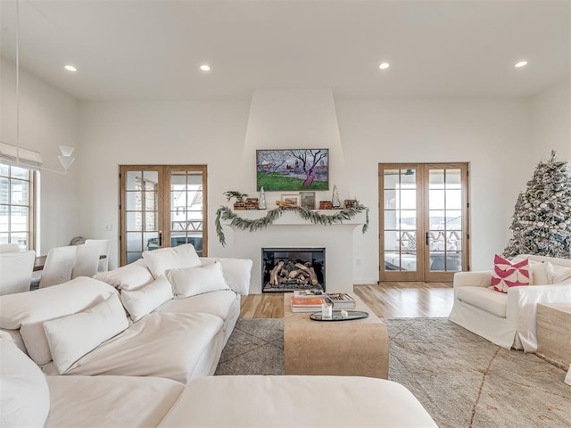 living room with french doors, a healthy amount of sunlight, and light hardwood / wood-style flooring