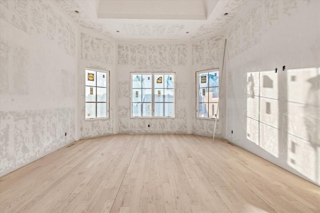 spare room featuring a raised ceiling and light wood-type flooring