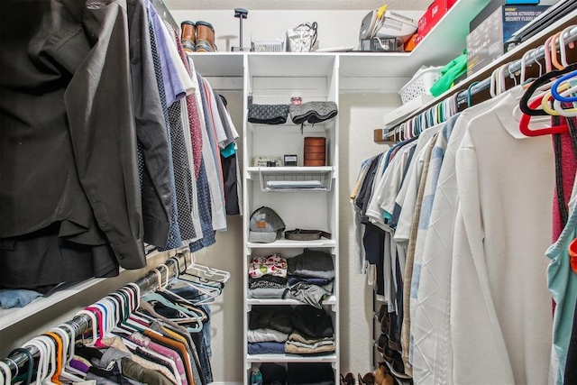 view of spacious closet